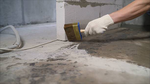 SJ Waterproofing Pros Emergency Waterproofing coverage map for Waverly, VA and surrounding area